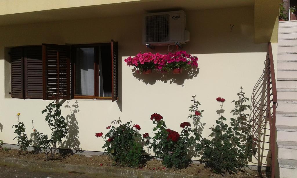 Apartment Adela Котор Екстериор снимка